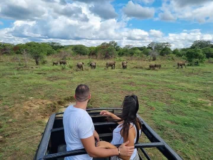 Minneriya National Park